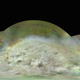 Illustration for article titled This Is The Most Detailed Map of Neptune's Moon Triton